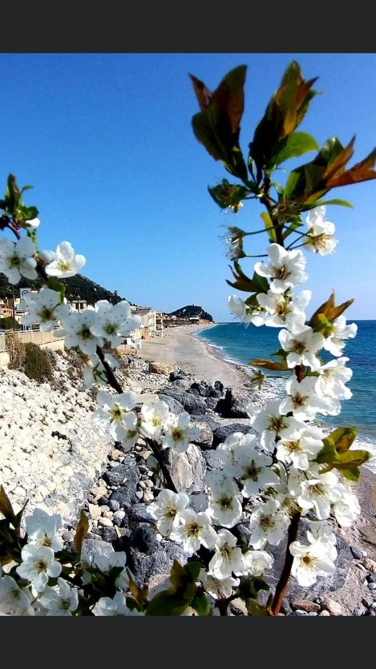 B&B Piccolo Paradiso Finale Ligure Luaran gambar